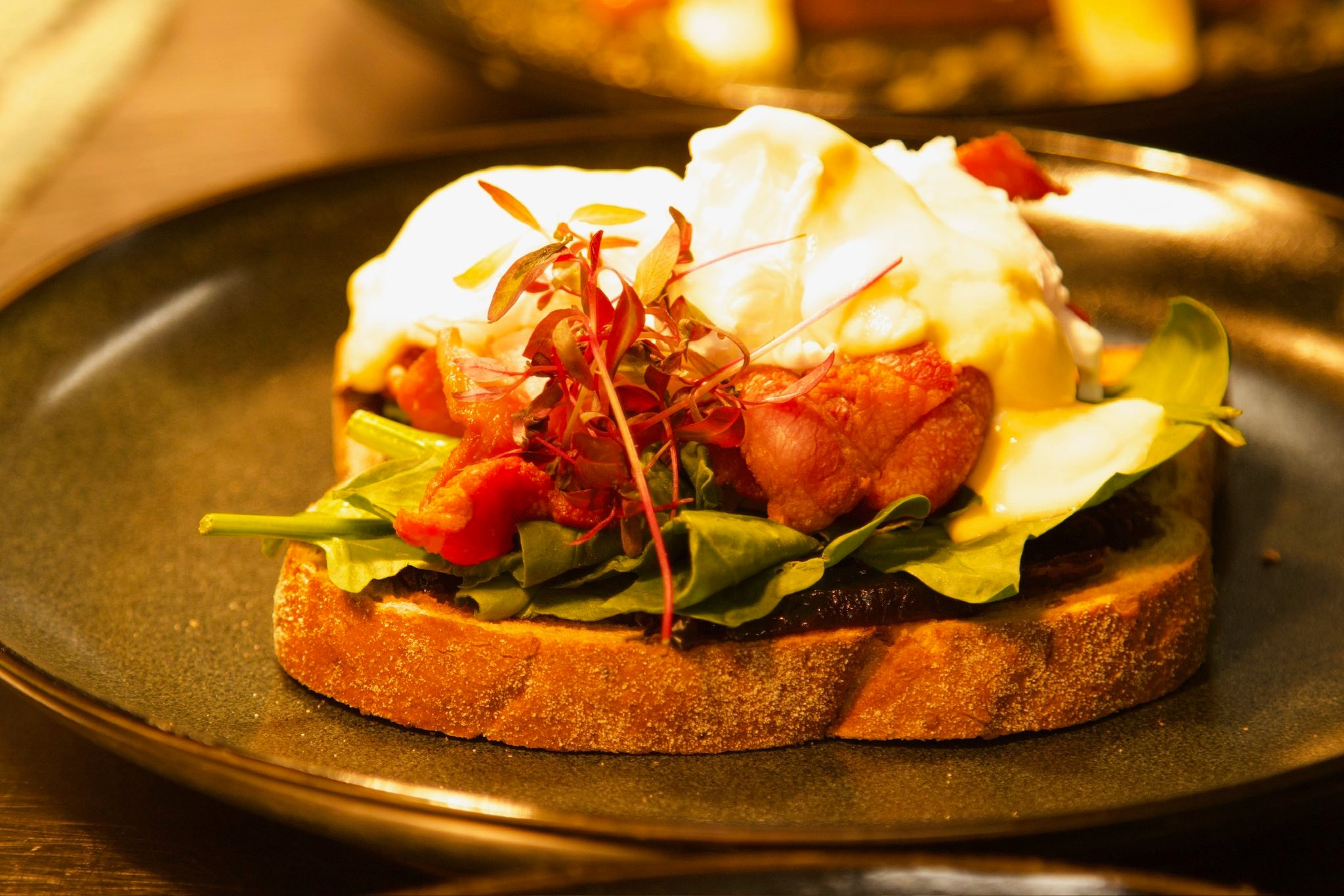 Savor the Flavors: A Culinary Journey at the MacDonald Arms Hotel